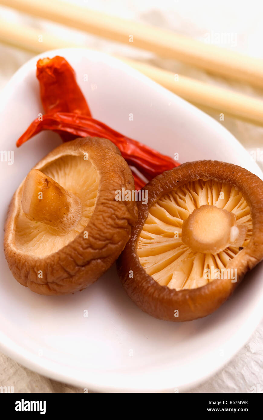 Nahaufnahme von roten Chilischoten mit Hon Shimeji Pilze in eine Schüssel geben Stockfoto