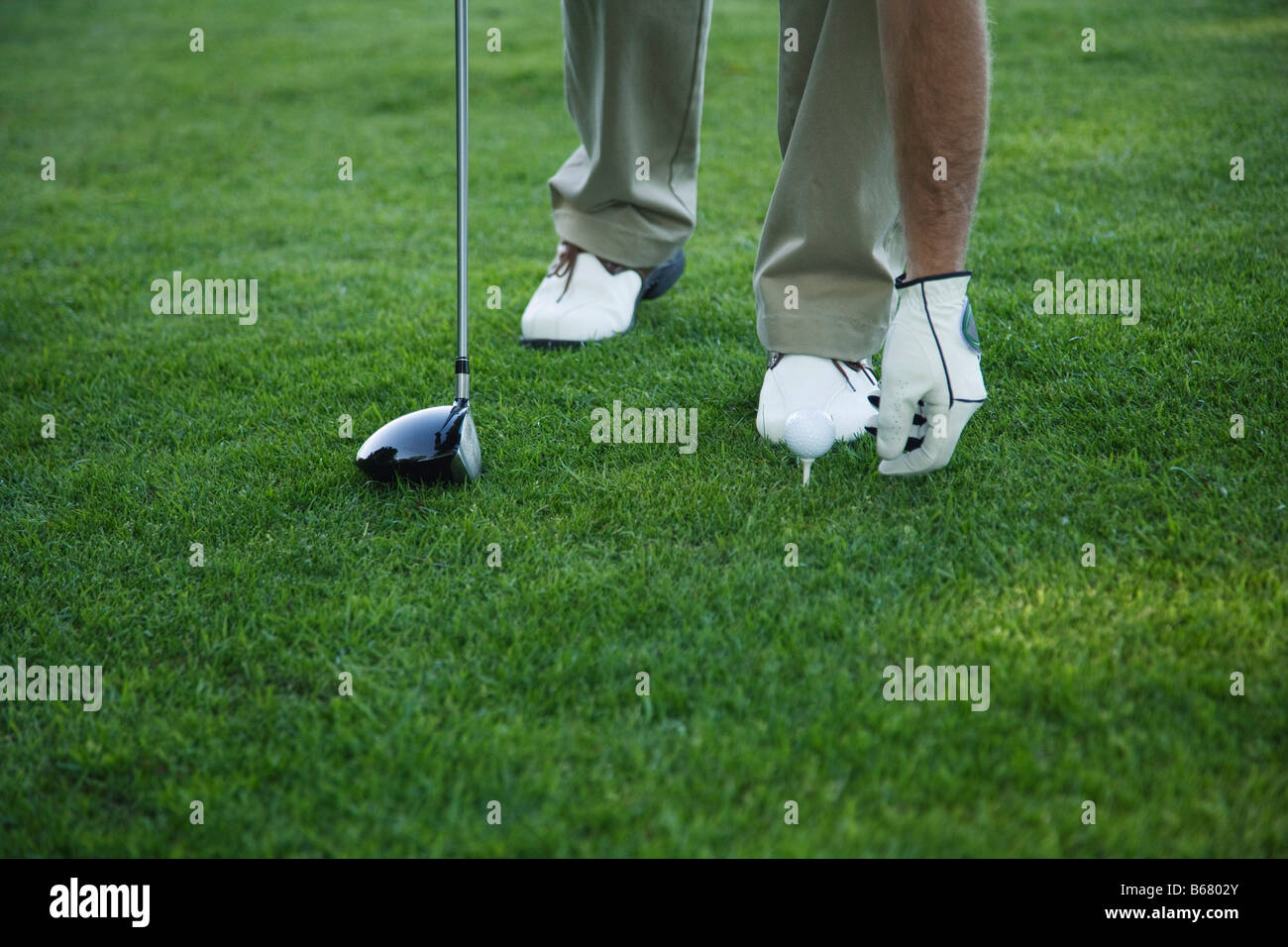 Golfer platzieren Ball am Abschlag Stockfoto