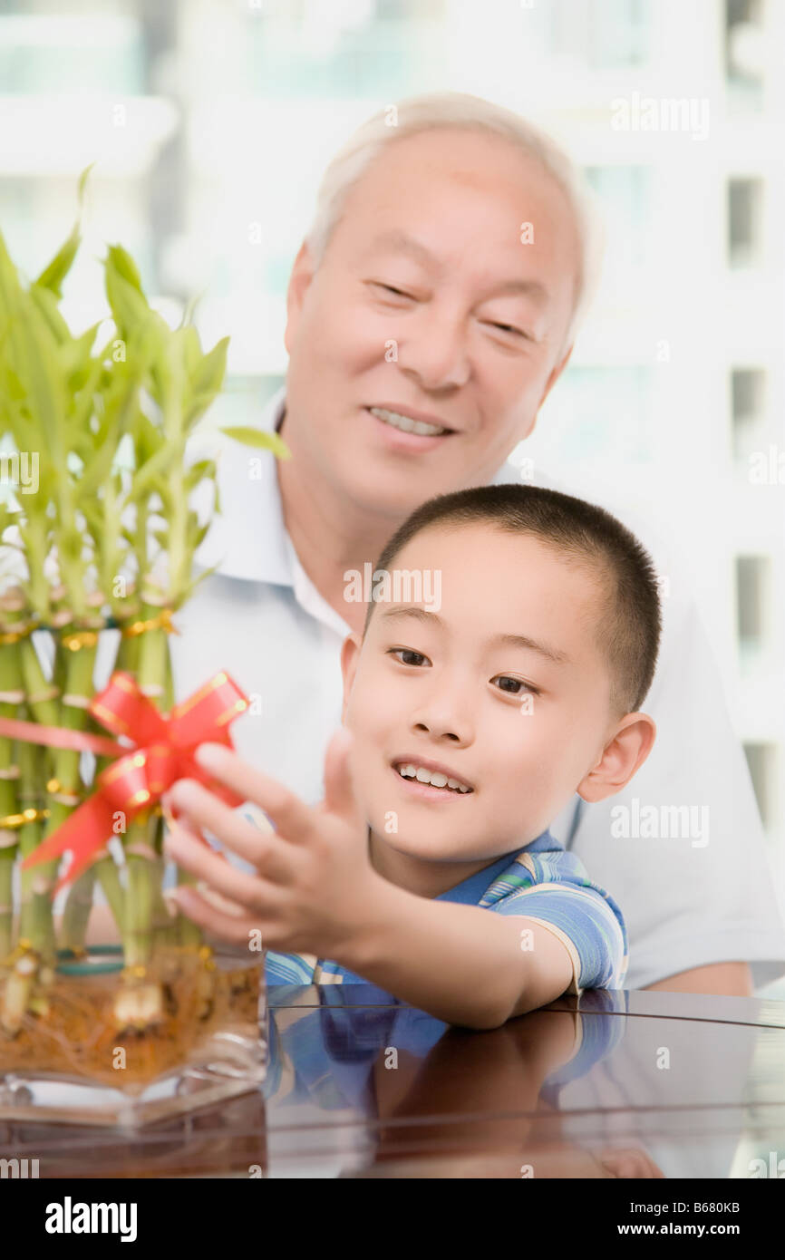 Nahaufnahme eines jungen lächelnd und berühren eine Bambuspflanze mit seinem Großvater hinter ihm Stockfoto