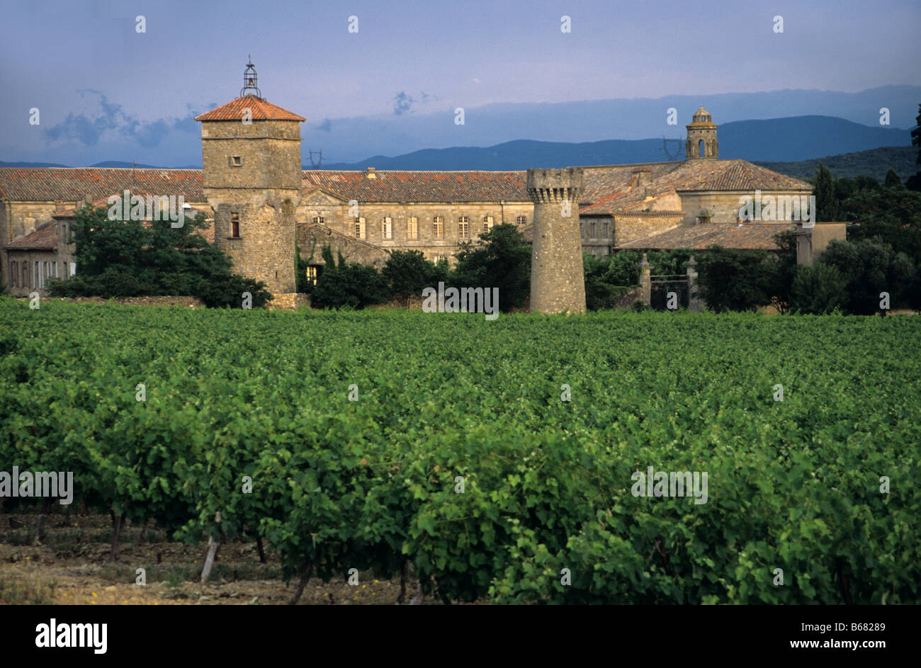 Château-Abtei Cassan (805 von Karl dem großen gegründet) und die Weinberge in der Nähe von Pézenas, Département Hérault, Languedoc, Frankreich Stockfoto