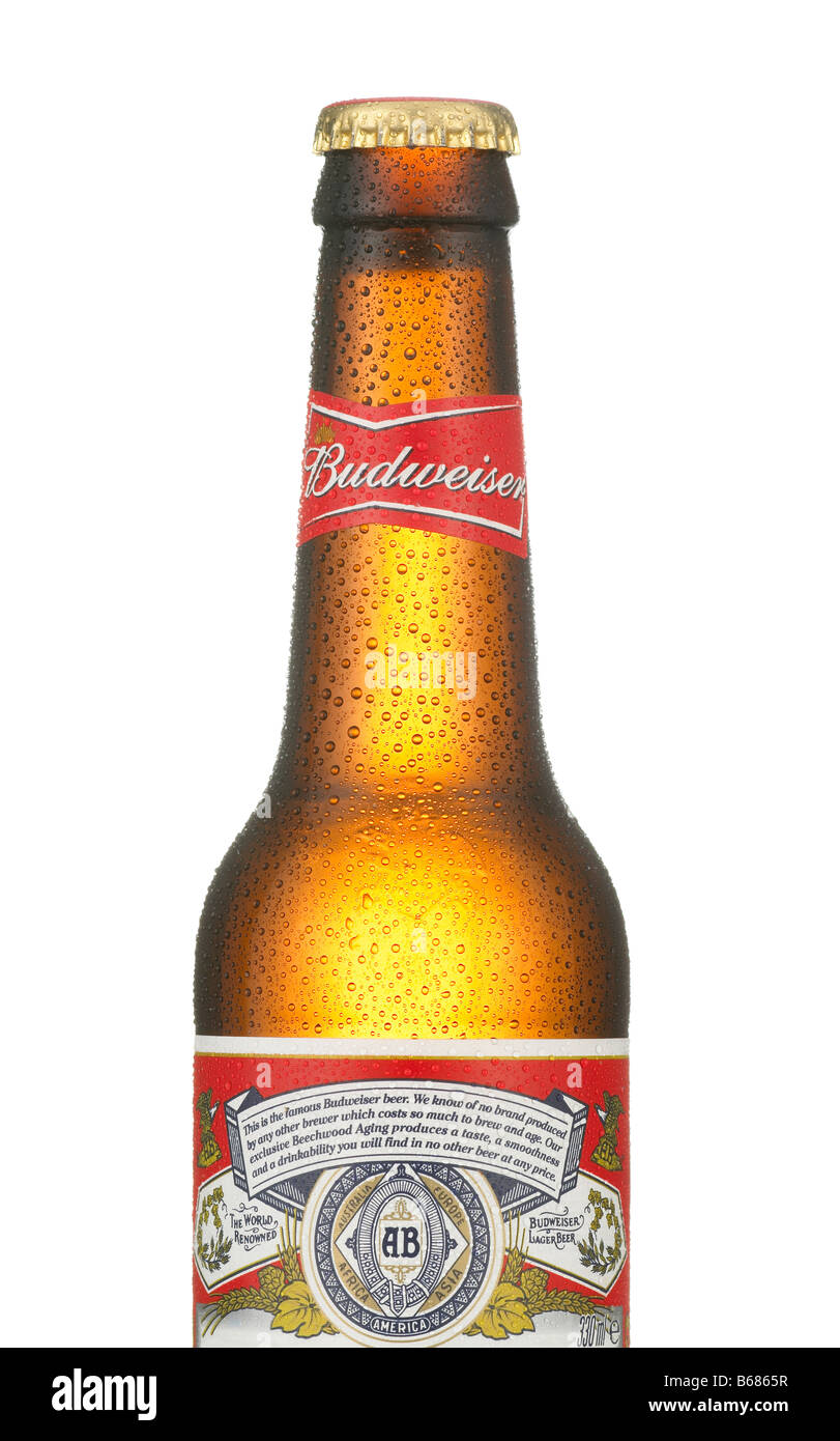 FLASCHE KALTES BUDWEISER BIER HAUTNAH MIT WASSERTRÖPFCHEN BEDECKT Stockfoto