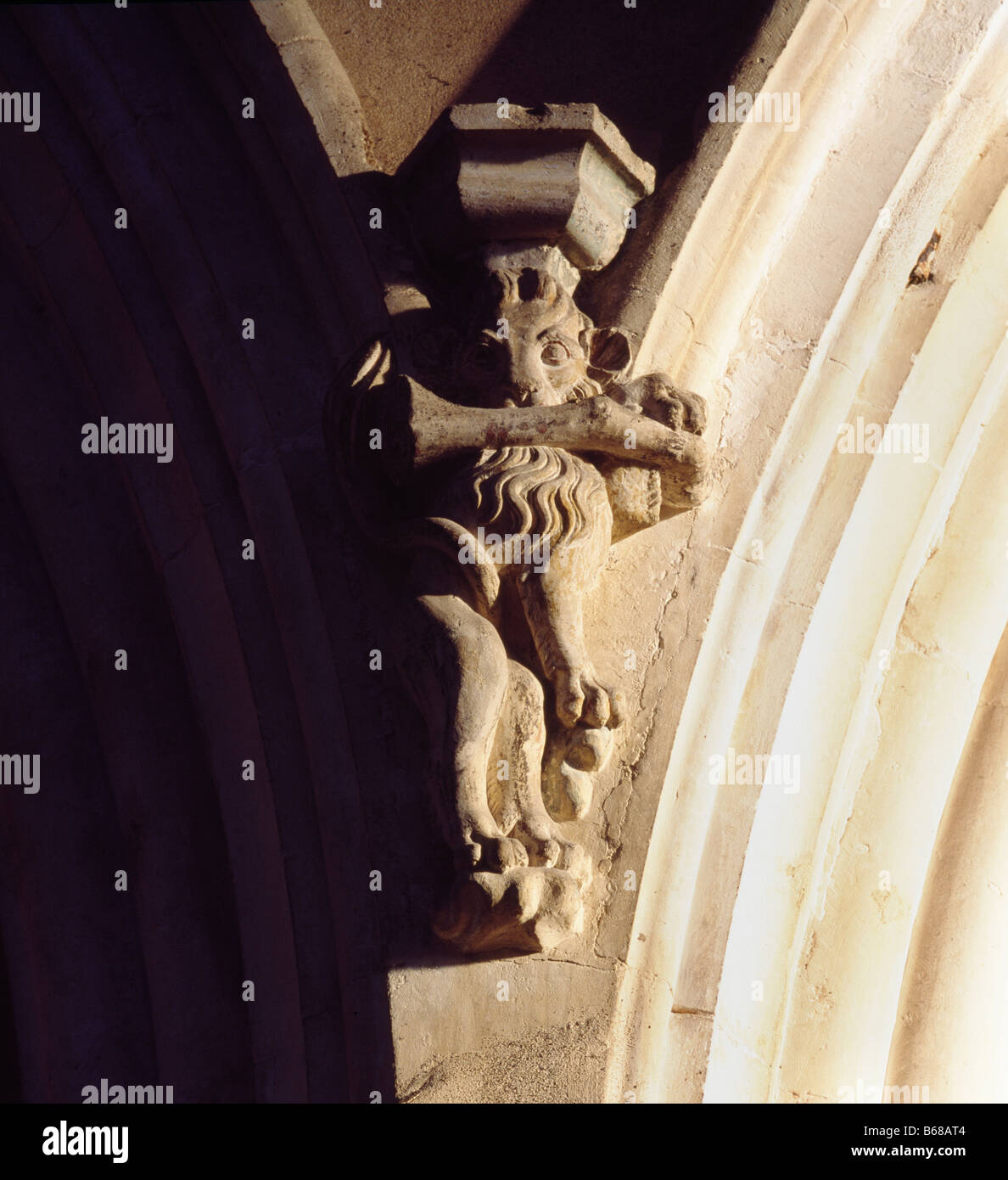 Lion St Margarets Cley Stockfoto