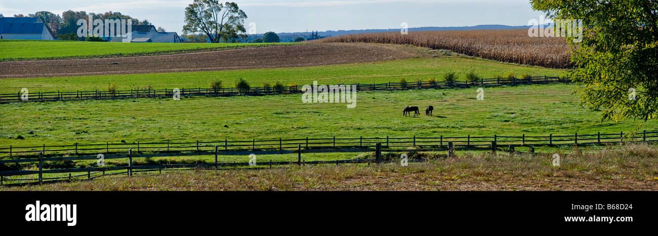 Pferde In Ländliches Motiv, Lancaster, Pennsylvania, USA Stockfoto