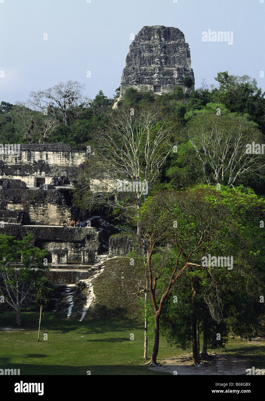Tempel V Tikal, El Petén, Guatemala Stockfoto