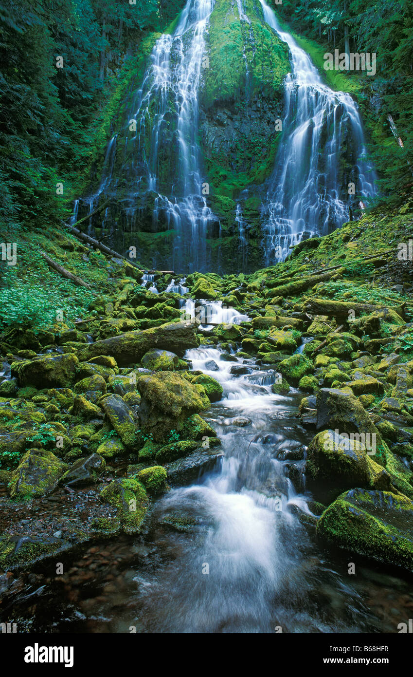 Lower Proxy Falls drei Schwestern Wildnis Willamette National Forest Cascade Mountains Oregon Stockfoto