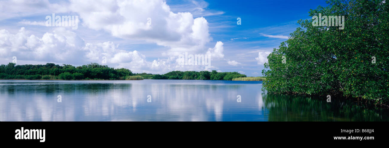 Mangroven-Inseln, blauer Himmel und Wolken spiegeln sich im Paroutis Teich, Everglades-Nationalpark, Florida USA Stockfoto