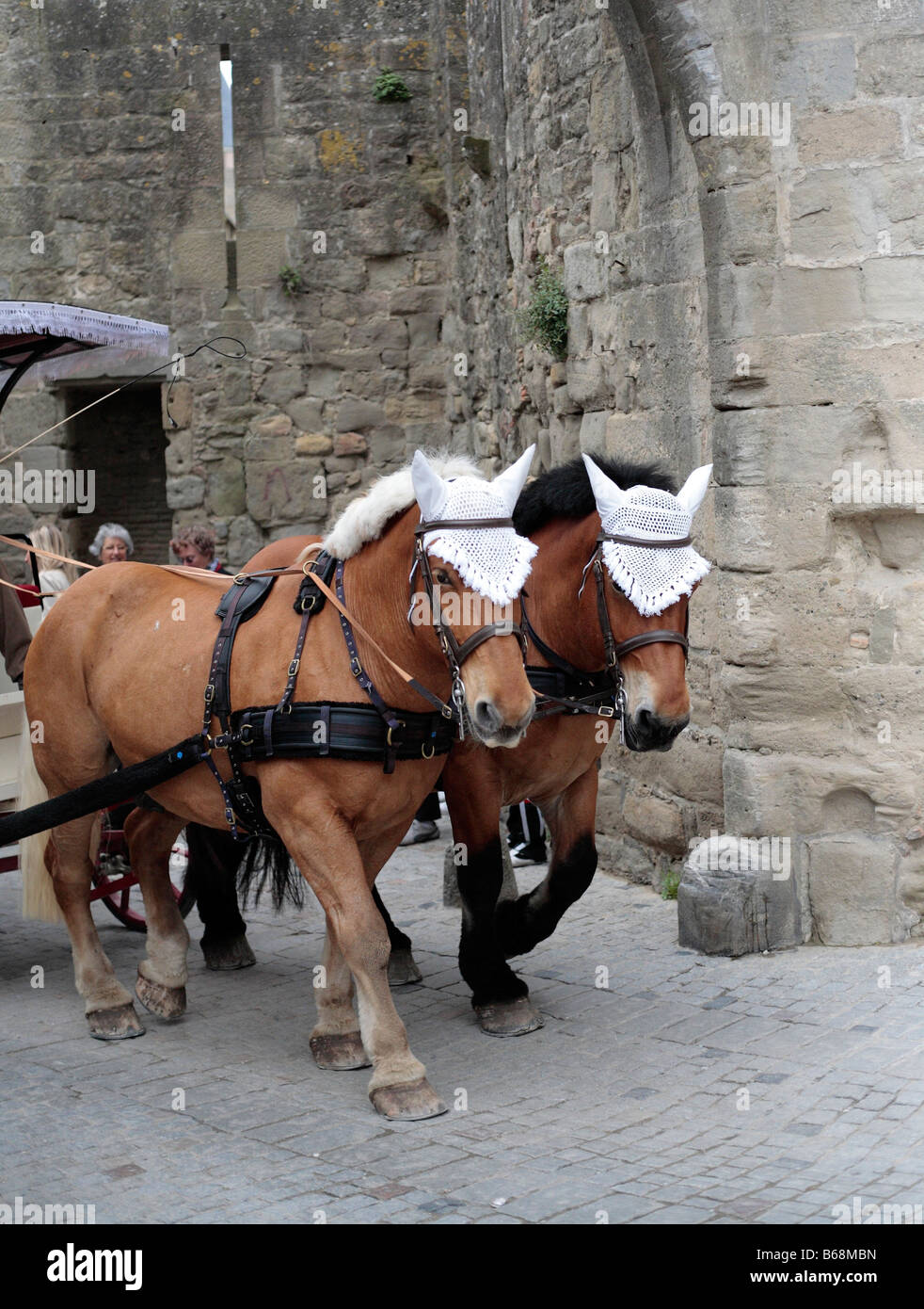 Carcassonne, Languedoc Roussillon, Frankreich Stockfoto