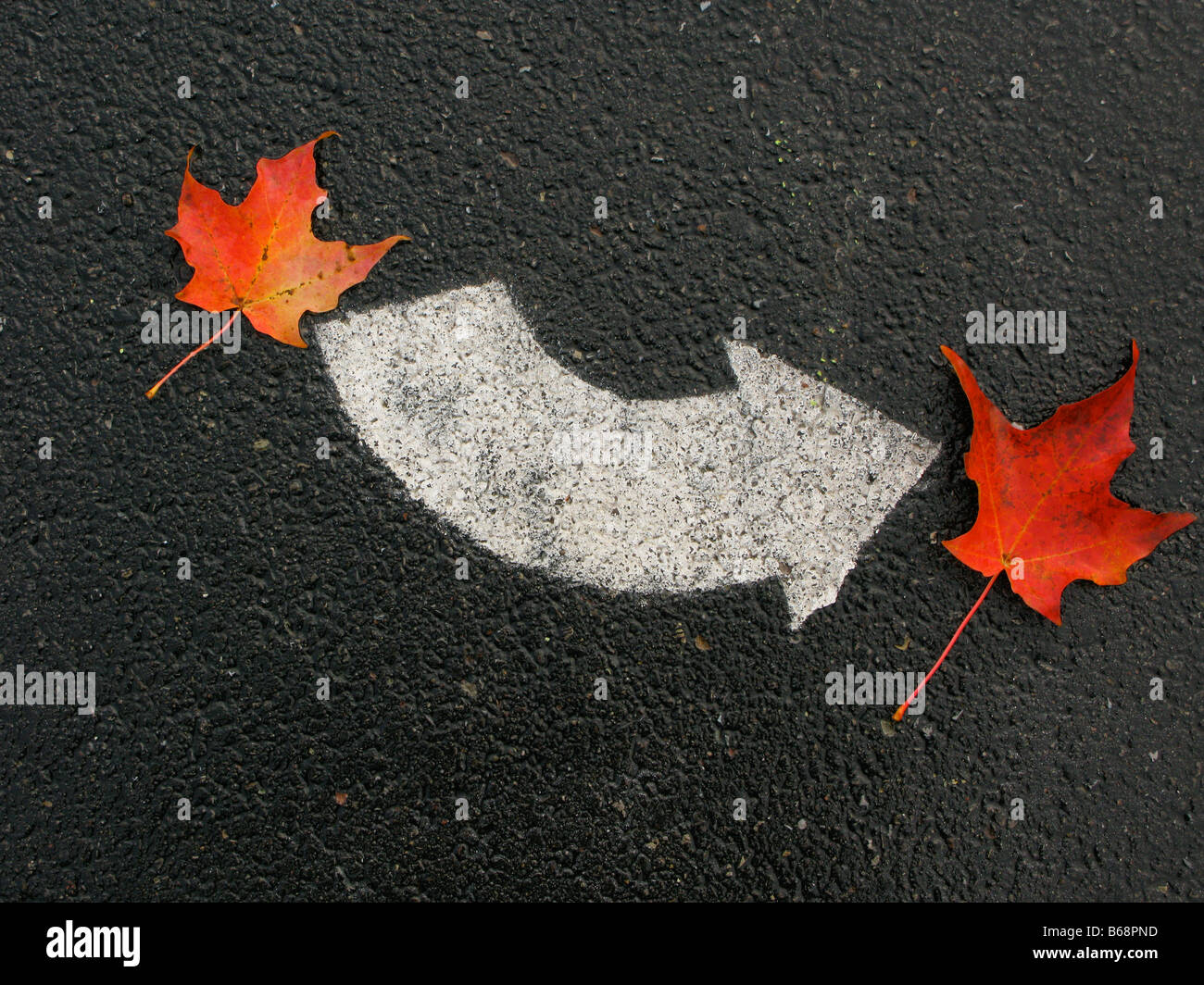 Konzeptbild von gekrümmten Pfeil und Herbst Blätter auf der Straße. Stockfoto
