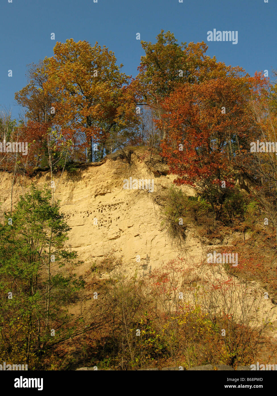 Sandy Klippe im Herbst, Linear Park, NY, USA Penfield. Stockfoto