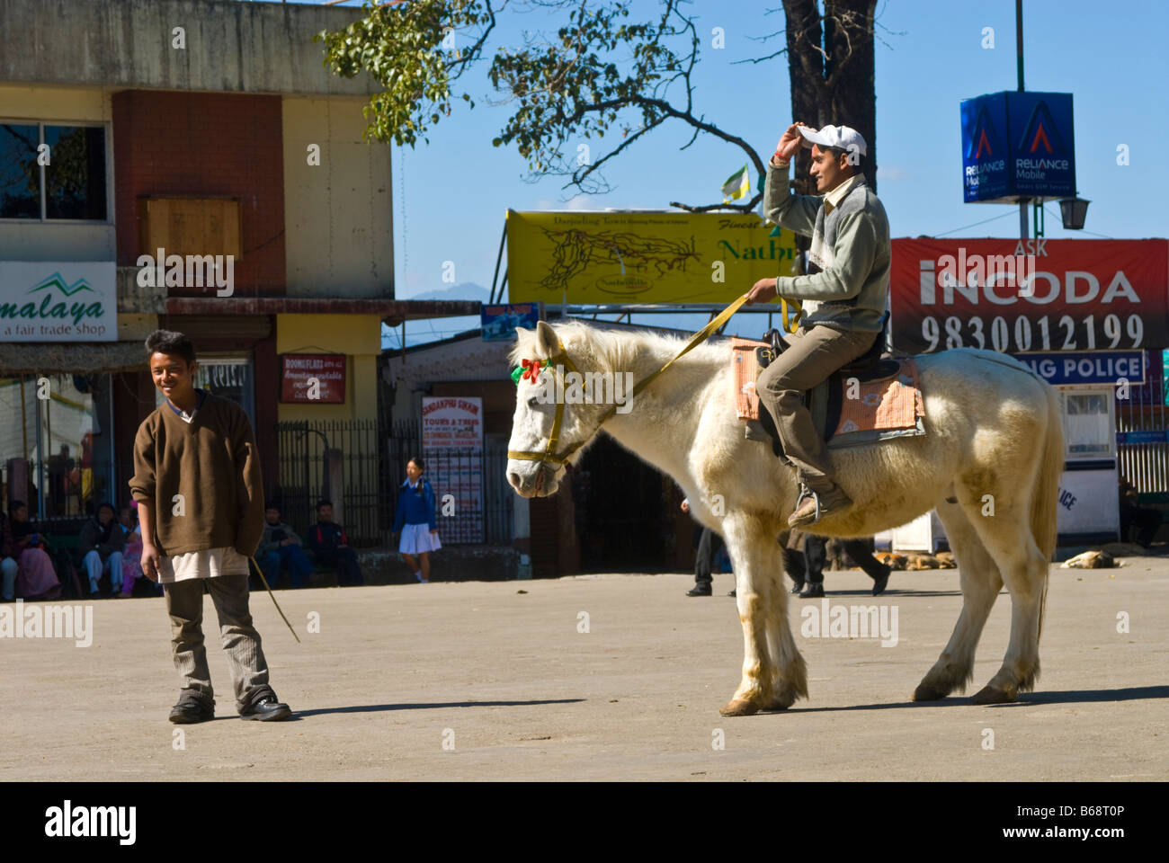 Ponyreiten sind eine beliebte Attraktion auf The Mall, Darjeeling, Westbengalen, Indien Stockfoto