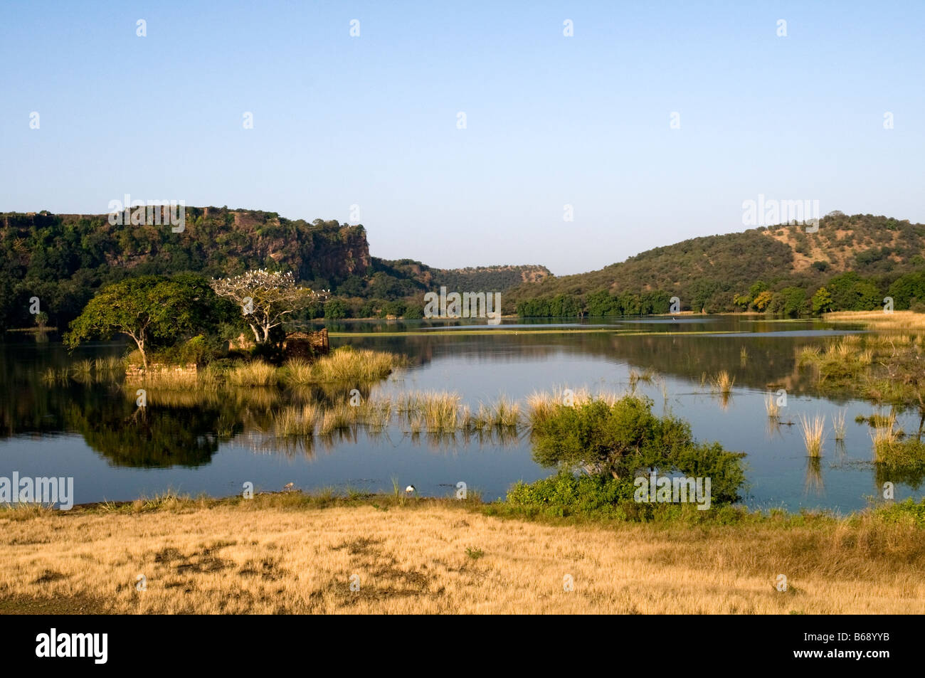 Ranthambore Nationalpark. Rajasthan. Indien Stockfoto