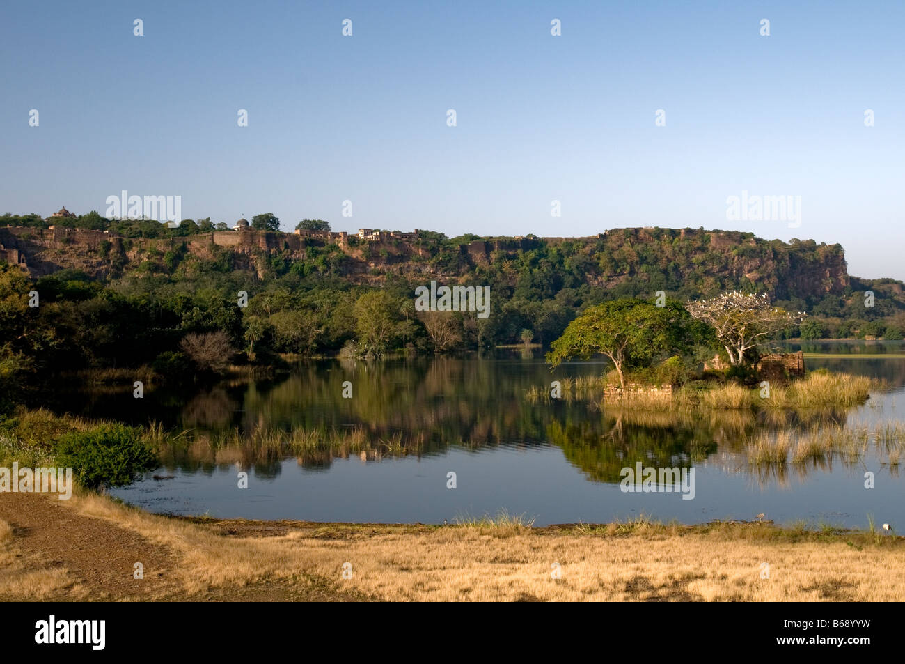 Ranthambore Nationalpark. Rajasthan. Indien Stockfoto
