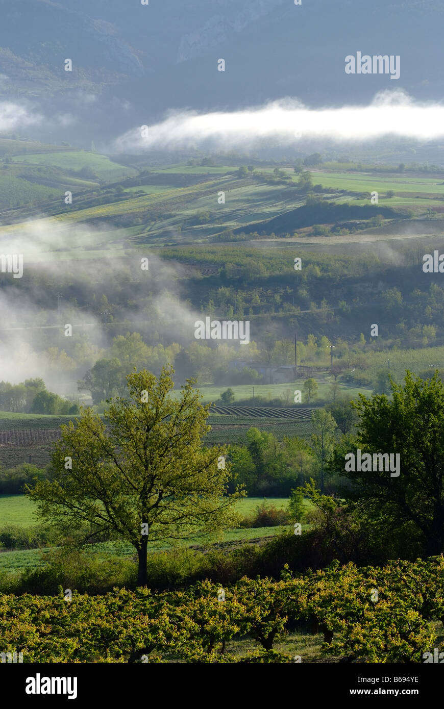 Tal im Nebel des kleinen morgens provenzalischen Drôme Stockfoto