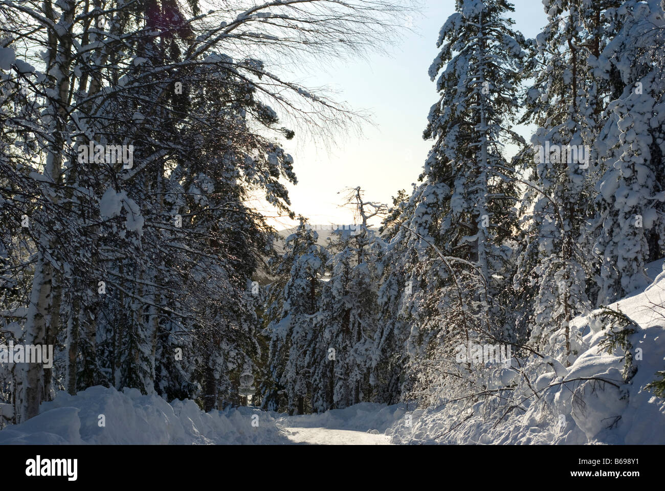 Sonnigen Wintertag in Finnisch-Lappland Stockfoto