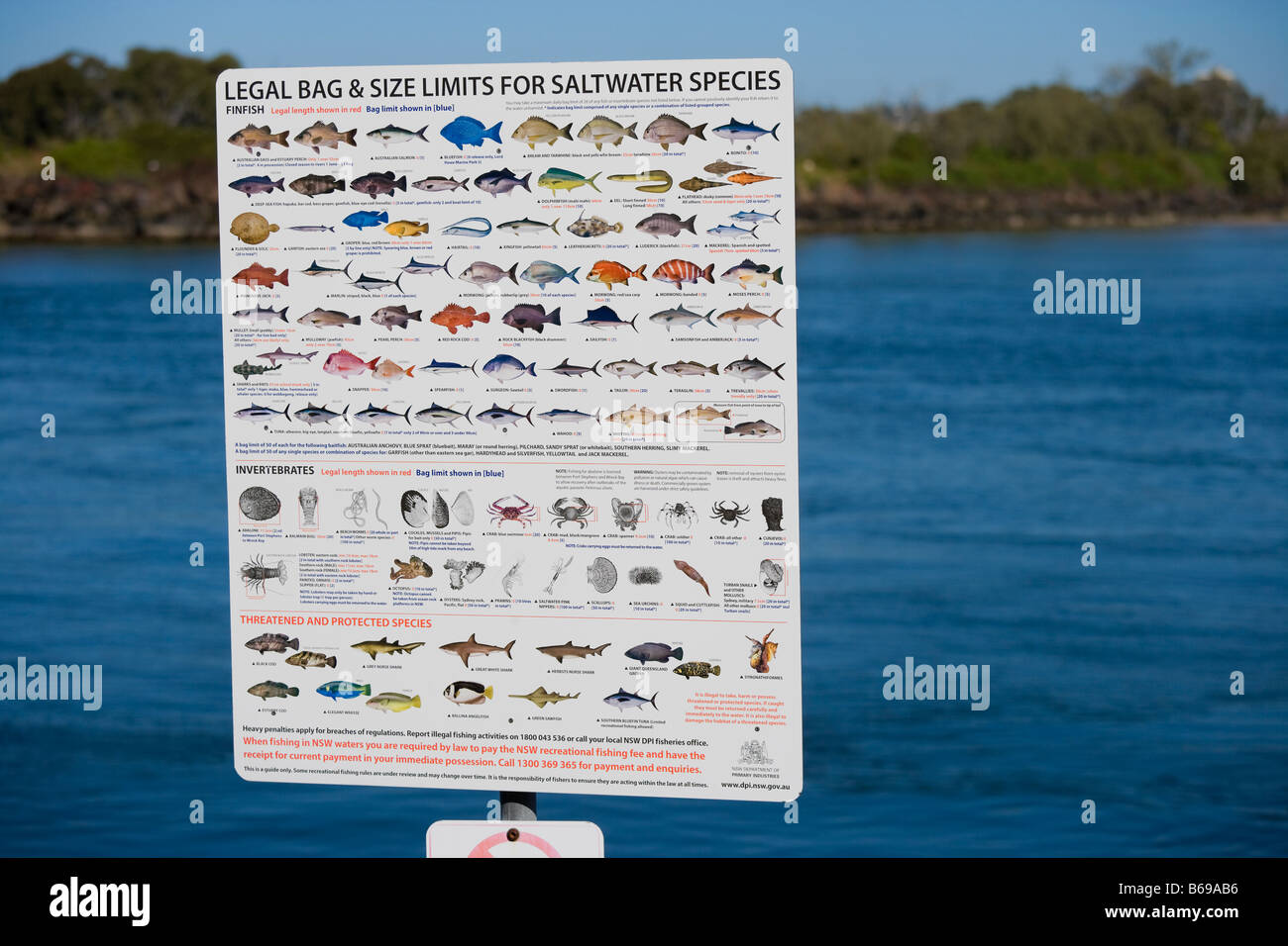 Rechtliche Tasche und Größe Grenzwerte für Seefische Angeln an der Australian Pacific Ocean Gold Coast Coolangatta und Tweed Heads Stockfoto
