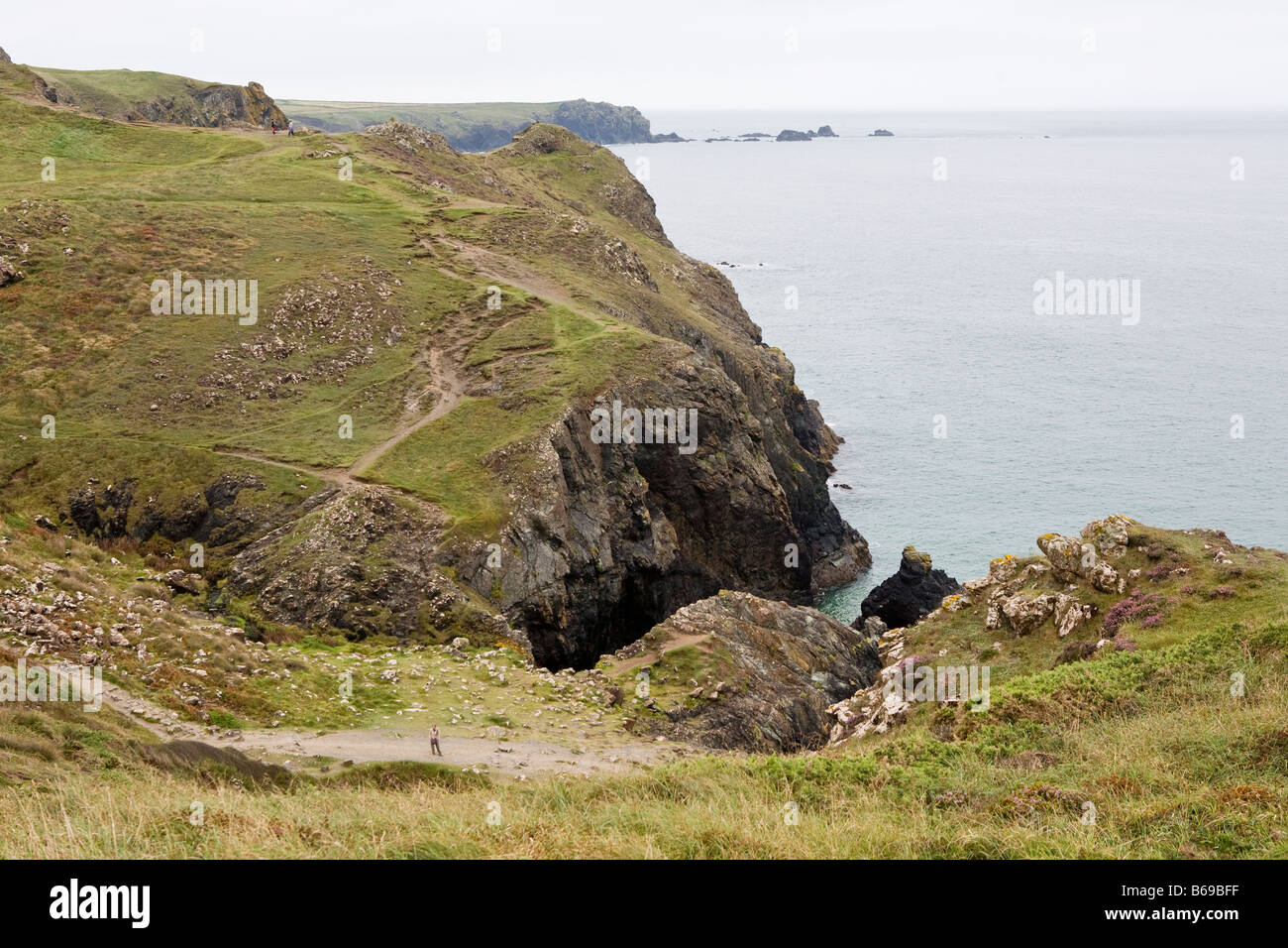 Klippen entlang der Küste in der Nähe von Lizard Point in Cornwall, England Stockfoto