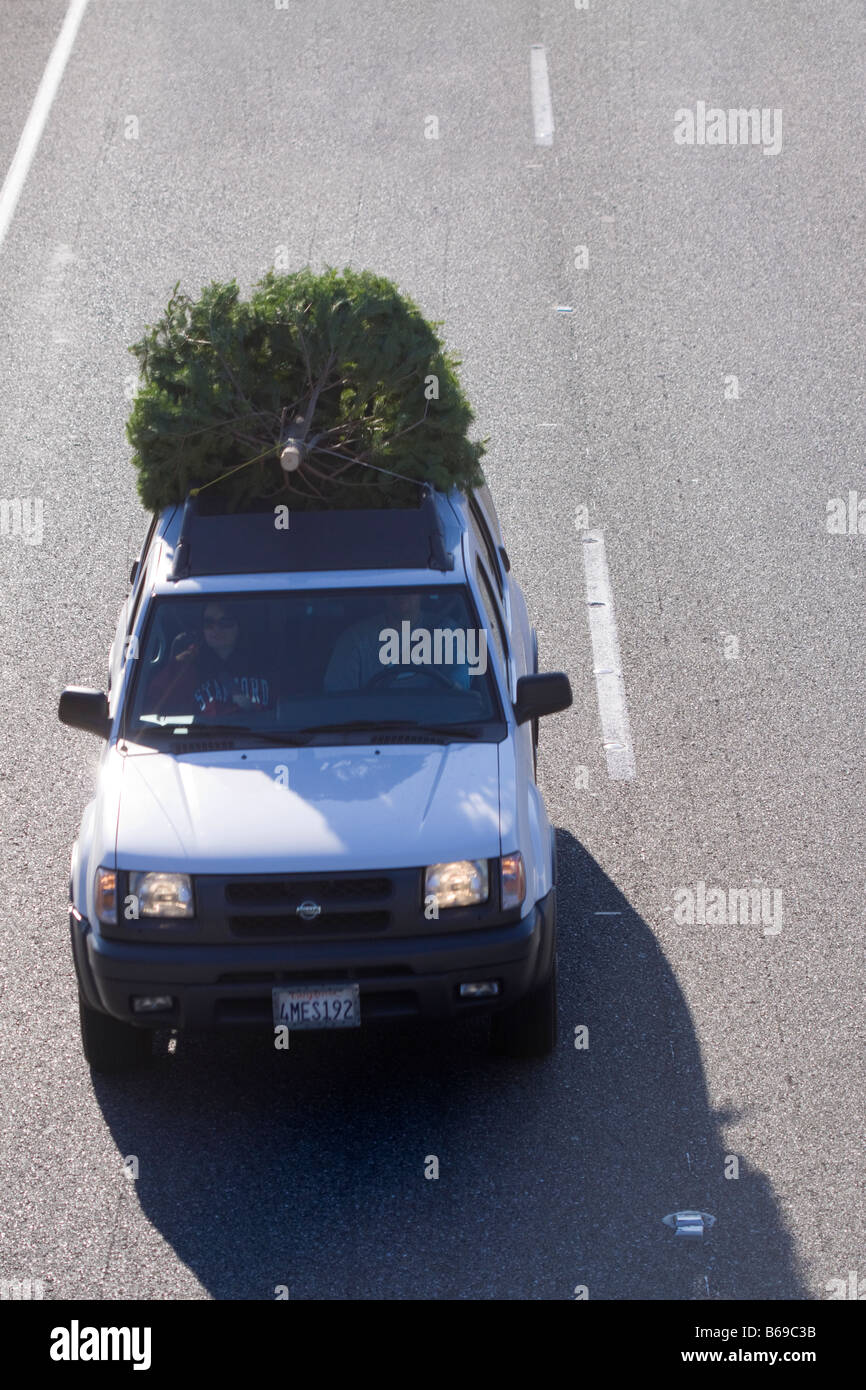 Weißen SUV fahren auf der Straße schleppen einen Weihnachtsbaum auf dem Dach in den Ferien Stockfoto