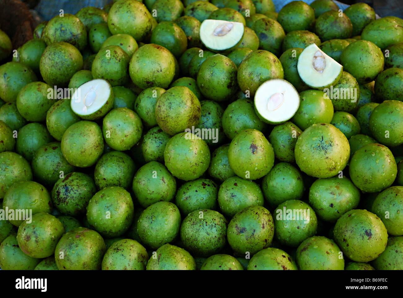 Rohen Mangos, dekoriert im neuen Markt, Bhopal, Madhya Pradesh, Indien. Stockfoto