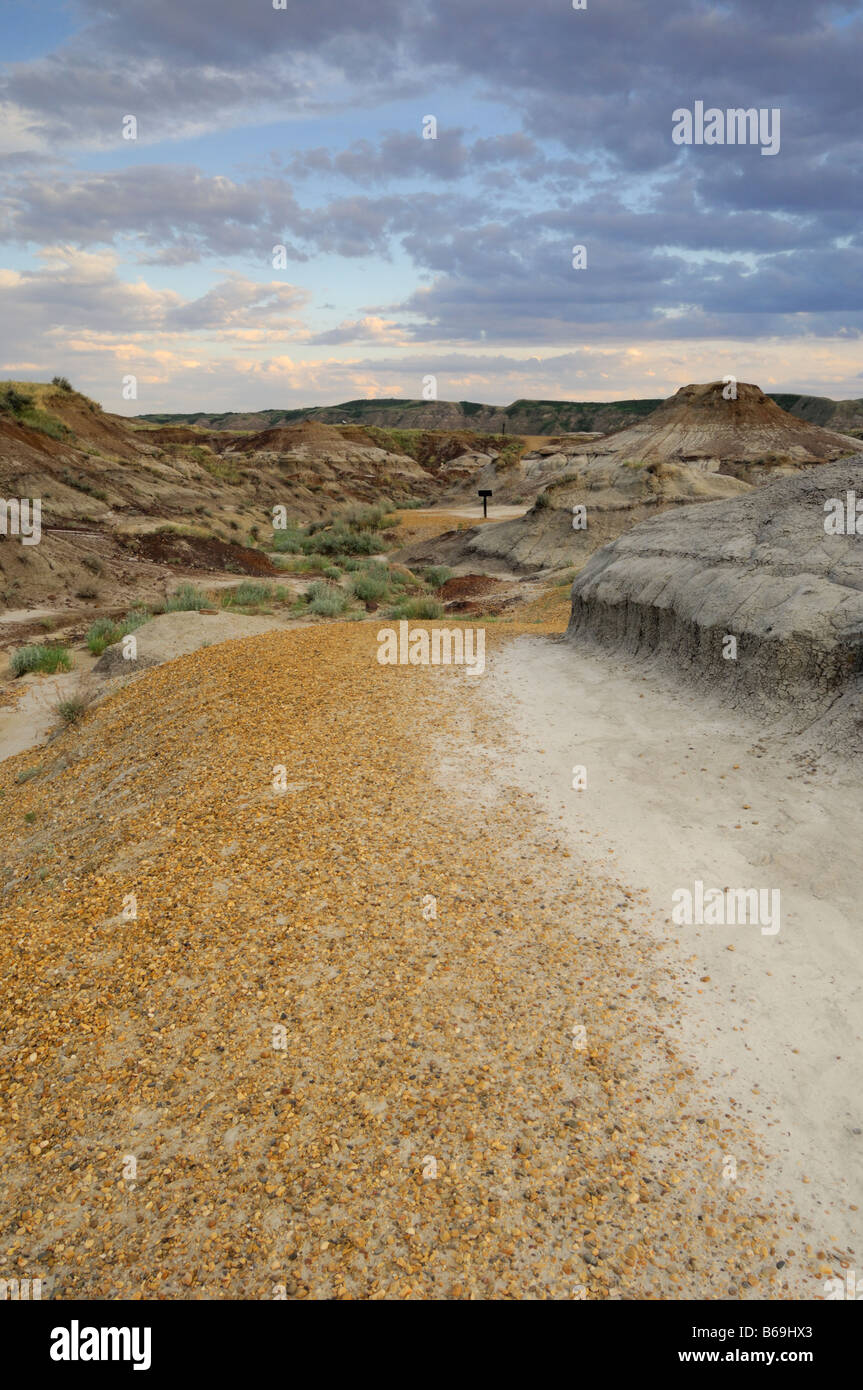 Badlands selbst geführte trail in der Nähe vom Royal Tyrrell Sauriermuseum Drumheller, Alberta Kanada Stockfoto
