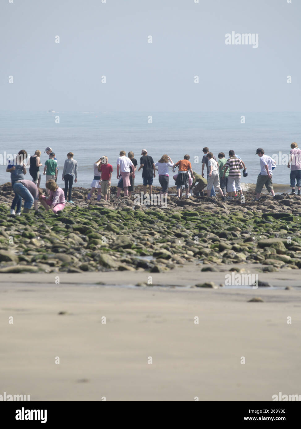 Große Gruppe von Menschen Rockpooling, Charmouth Stockfoto