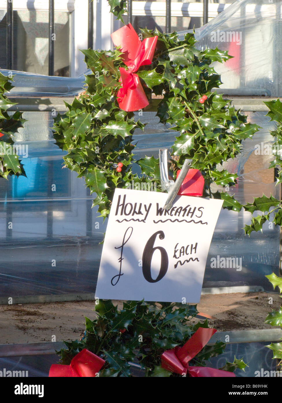 Weihnachtsbäume zum Verkauf an Columbia Road Market Shoreditch Tower Hamlets East End London.England UK. Stockfoto