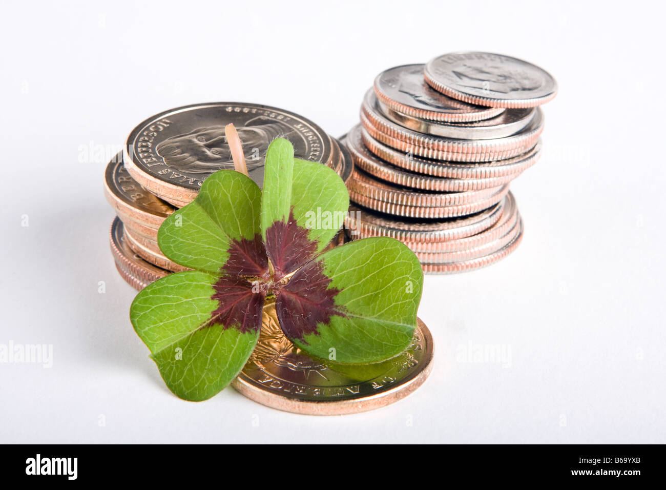 Vierblättriges Kleeblatt auf gestapelten Dollar-Münzen Stockfoto