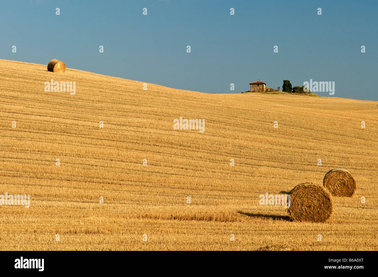 Sanfte Hügel mit Heuballen in der Toskana Stockfoto