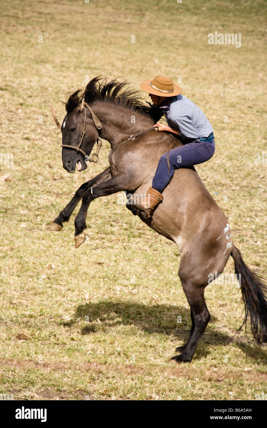 Rodeo Pferd Uruguay Fiesta Gaucho Cowboy cowboy Stockfoto