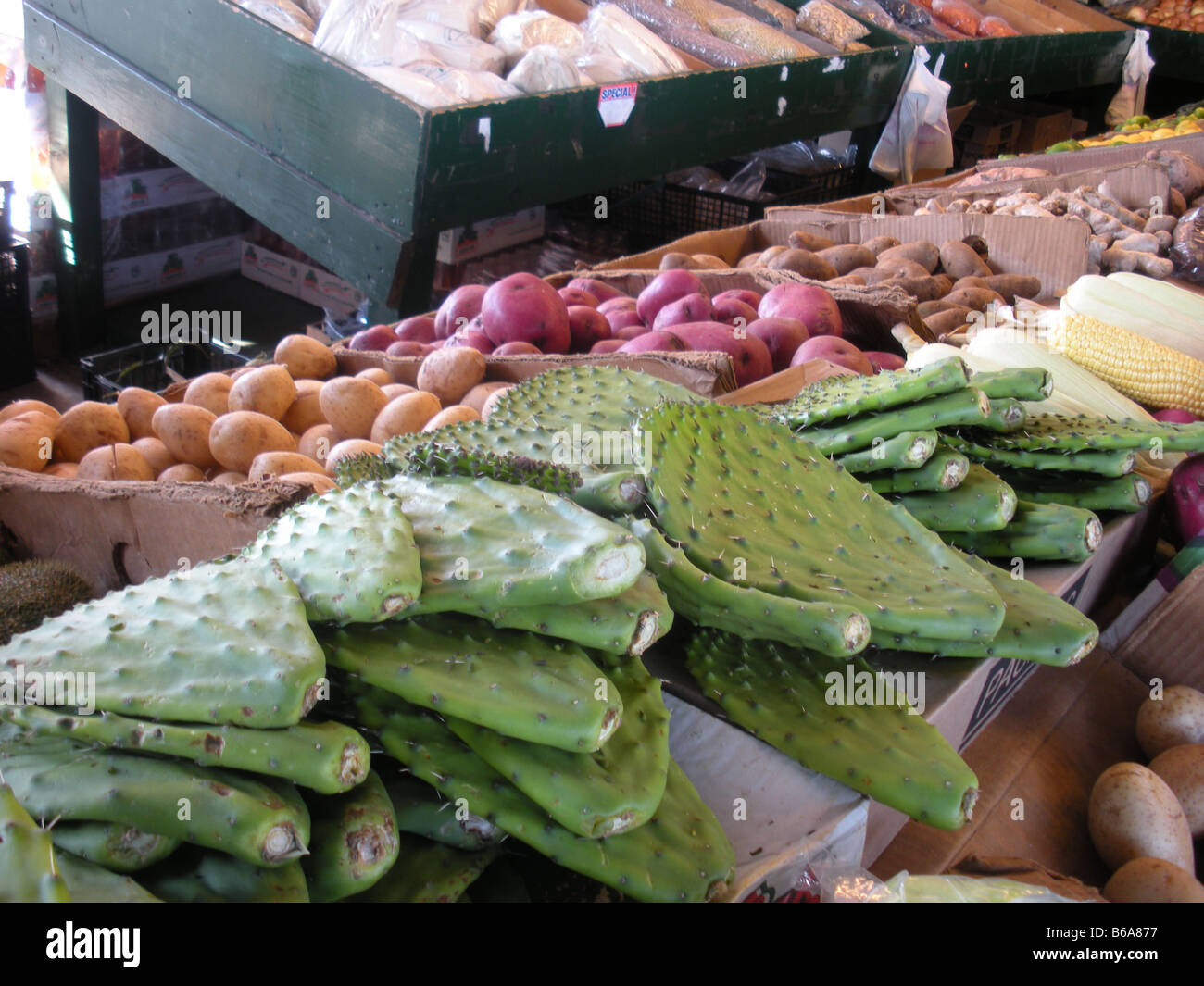 Essbarer Kaktus verlässt zum Verkauf auf einem Bauernmarkt in Texas Stockfoto