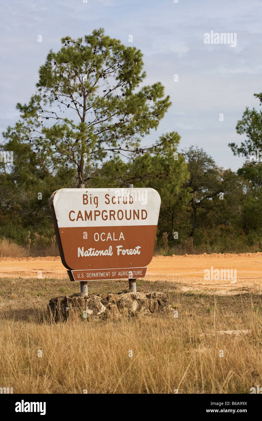 Große Peeling Campingplatz Zeichen in Ocala National Forest Stockfoto