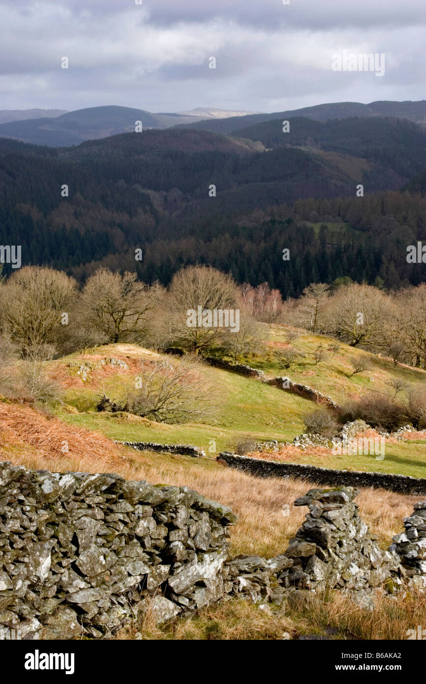 Blick vom Abgrund Spaziergang nahe Ortszentrum, Snowdonia National Park, North Wales UK Stockfoto