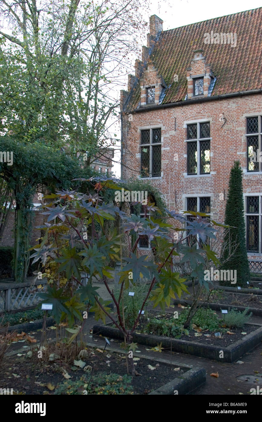Maison d'Erasmus Museum in dem Gebäude, wo der Schriftsteller Philosoph und Theologe Erasmus lebte und arbeitete während seiner Lebenszeit Stockfoto