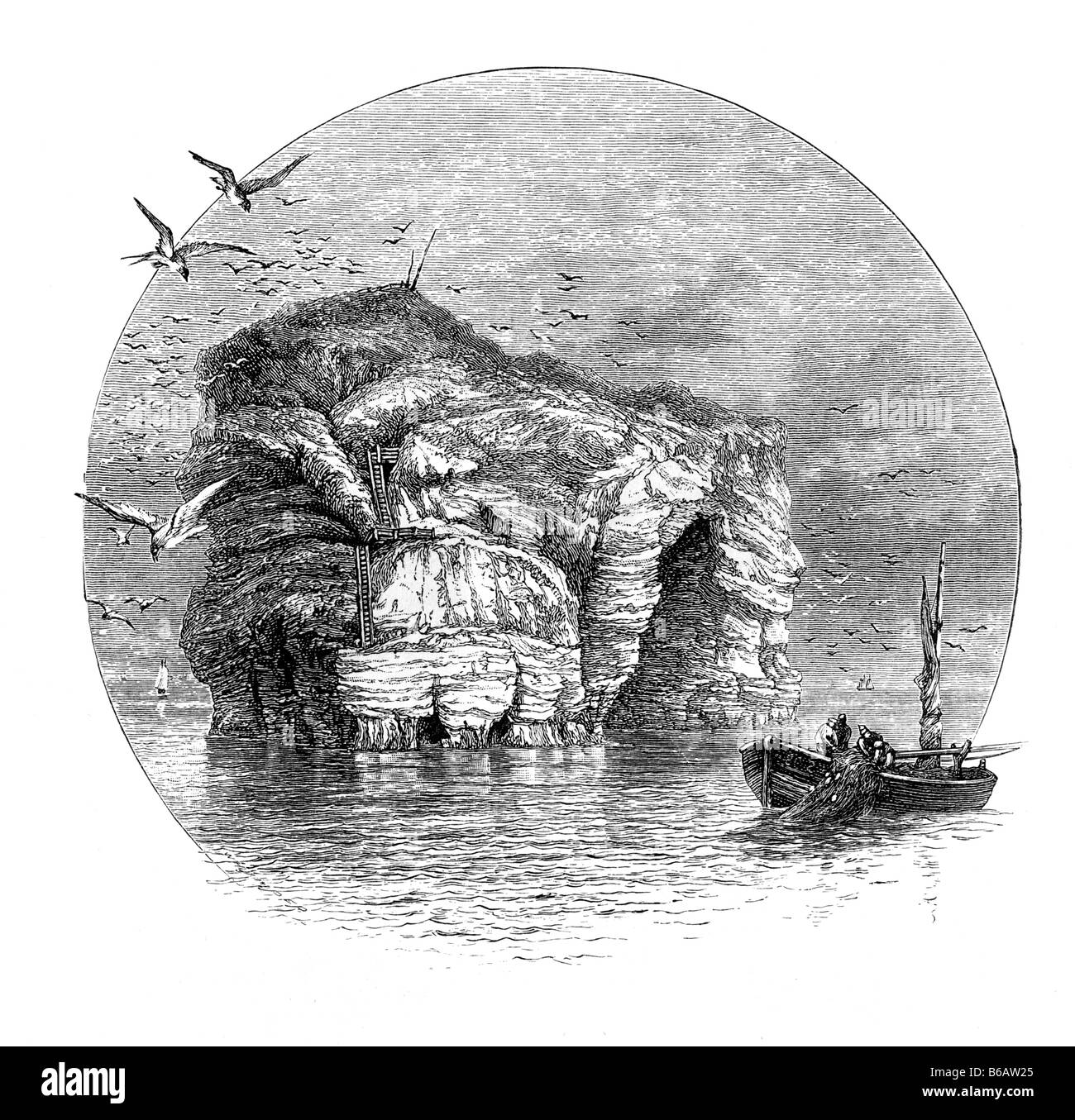Marsden Rock in der Nähe von South Shields 19. Jahrhundert Illustration Stockfoto