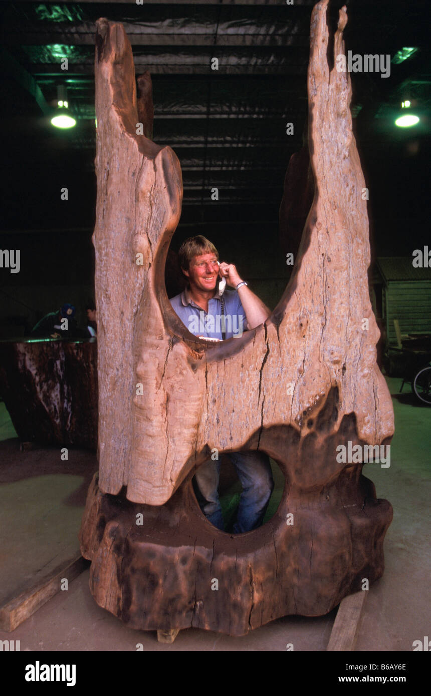 Old Red Gum Stamm, Koondrook Stockfoto