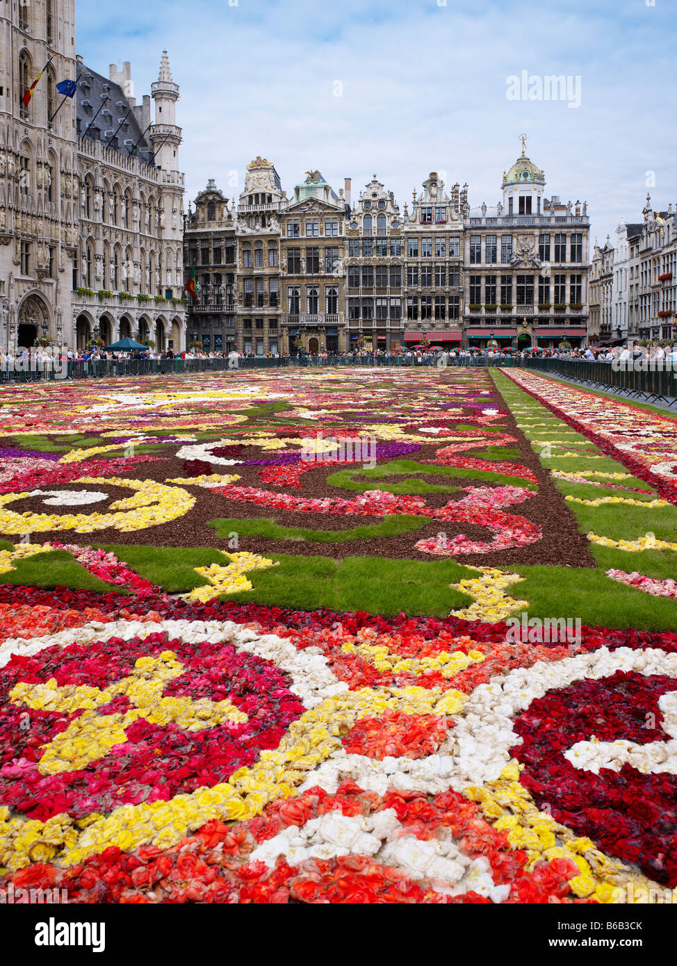 Blumenteppich am Grand Place Brüssel, Brabant, Belgien, Europa Stockfoto