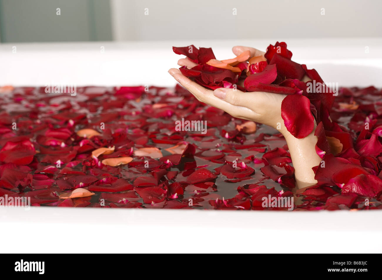 Hände voll von Roseleaves in der Badewanne Stockfoto