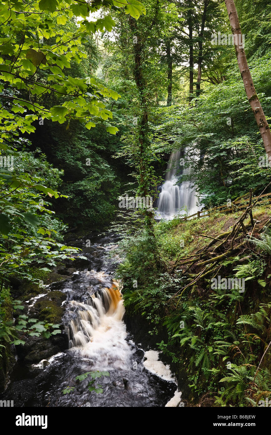 Ess Na Crub Wasserfall auf der Inver Fluss Glenariff Forest Park, Glens of Antrim, County Antrim, Nordirland Stockfoto