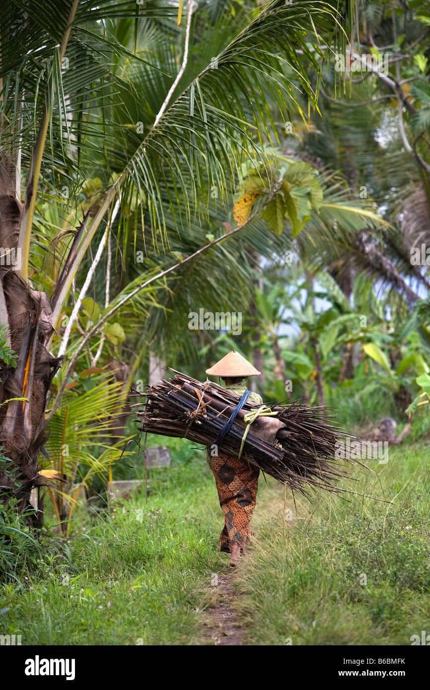 Yogyakarta (Jokjakarta), Java, Indonesien, Frau, die trockenen Palmblättern Stockfoto