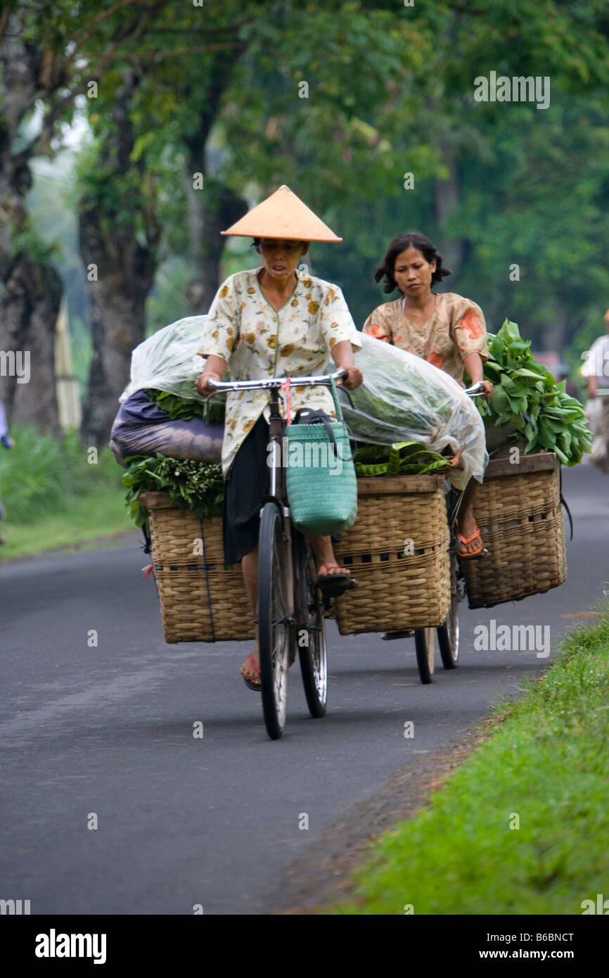 Yogyakarta (Jokjakarta), Java, Indonesien, Fahrräder, die Transport von Gütern Stockfoto