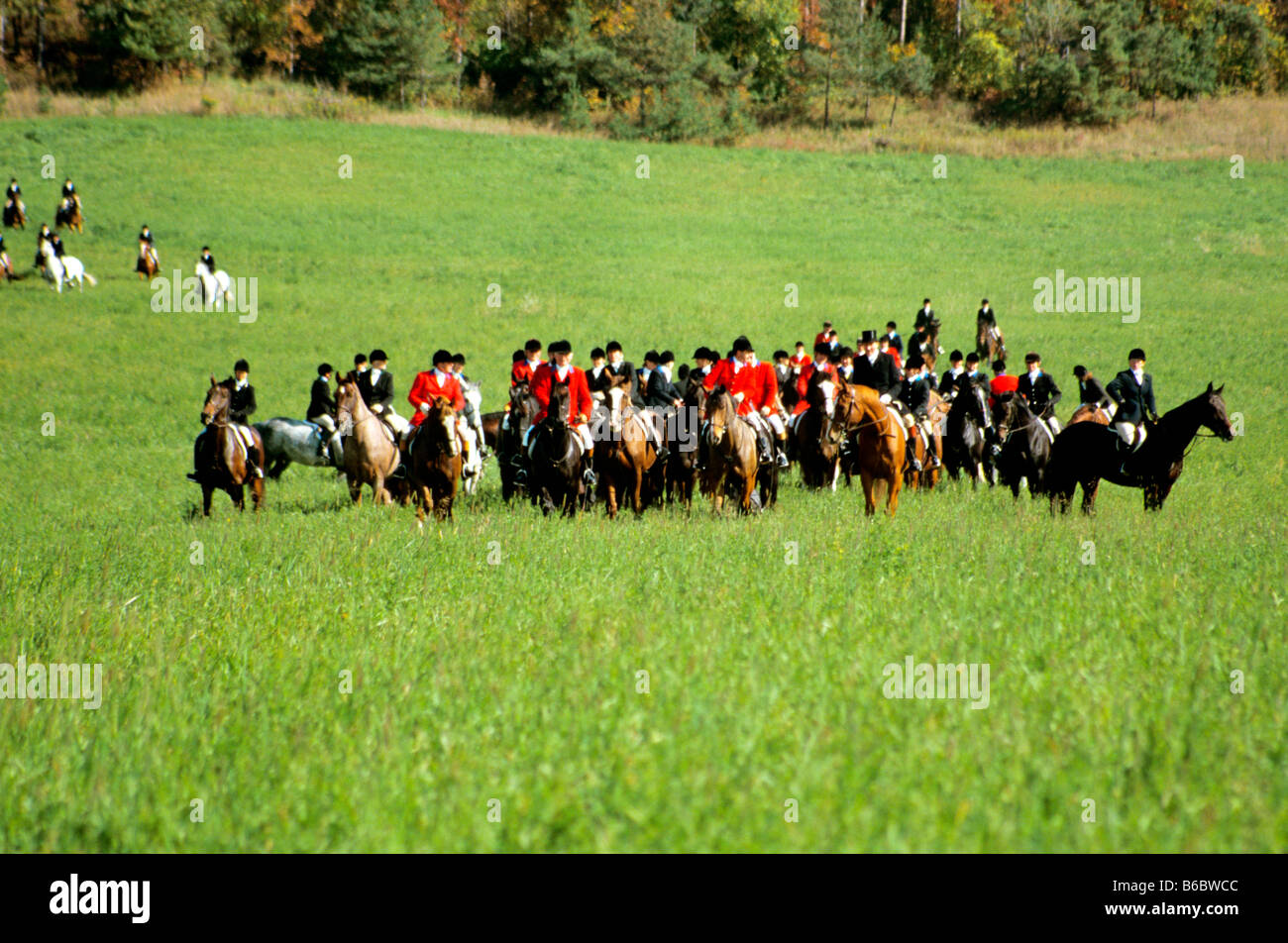 Fuchsjagd in Süd-Ontario Stockfoto