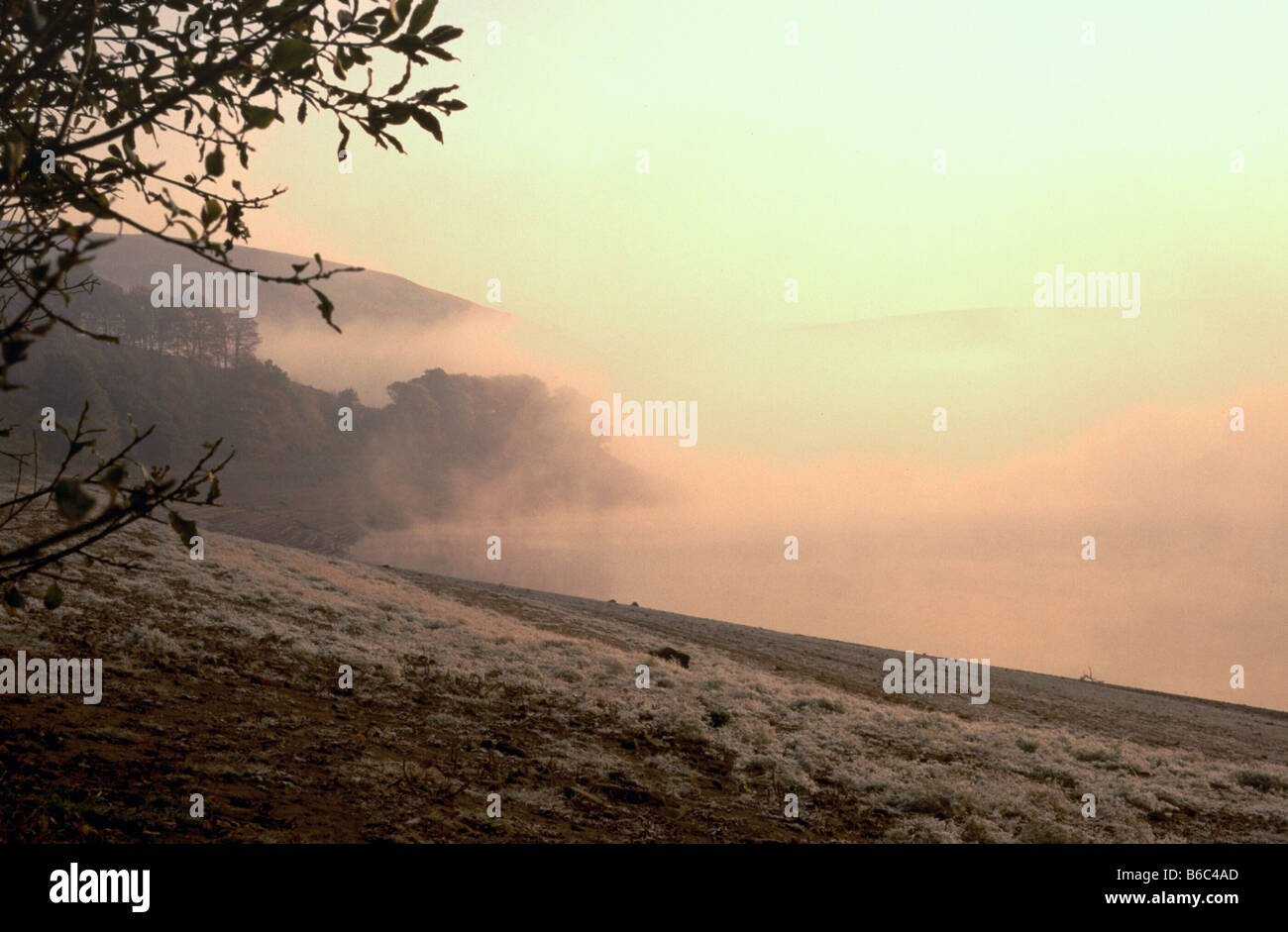 nebligen Morgen Stockfoto