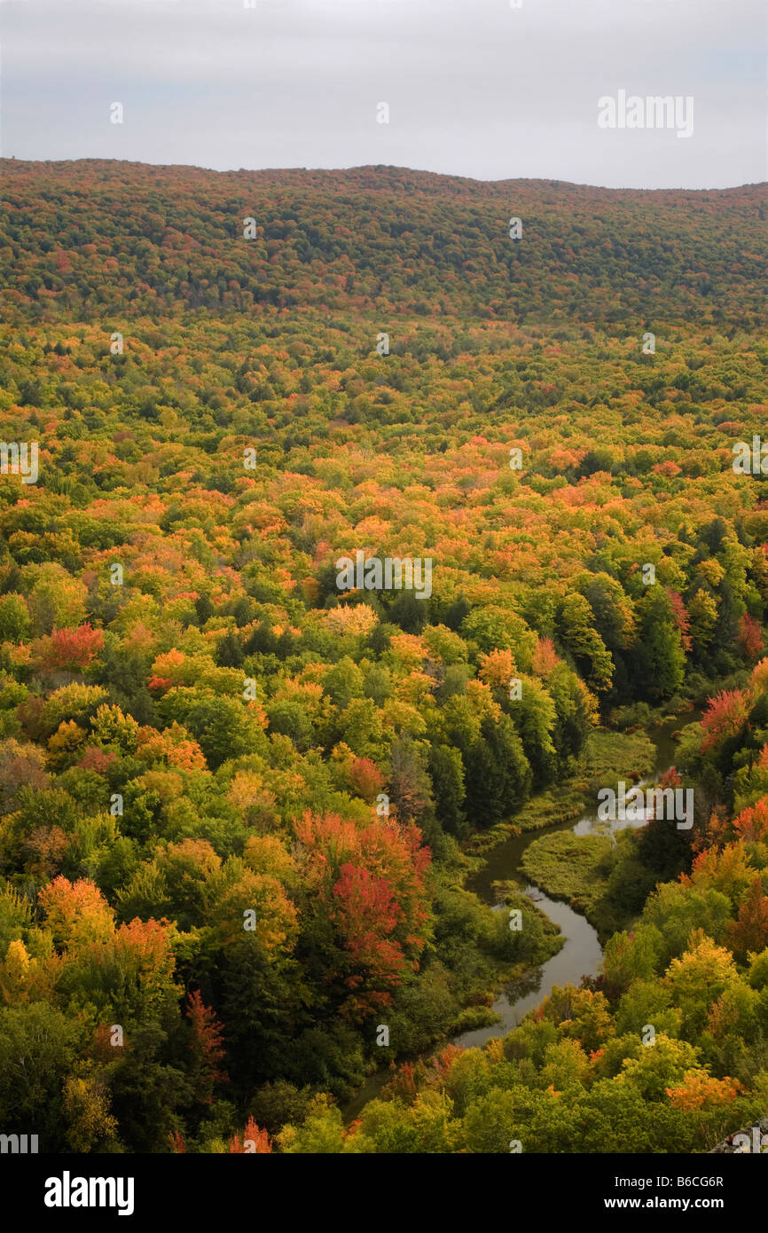 MICHIGAN - Herbst entlang der Big Carp River nahe dem See von den Wolken in die Porcupine Mountains Wildnis State Park. Stockfoto