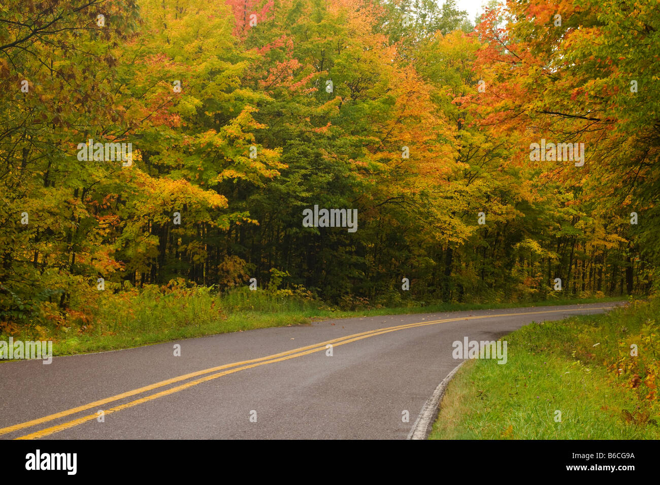 MICHIGAN - Herbstfarben entlang der South Boundary Road in der Porcupine Mountains Wildnis State Park. Stockfoto