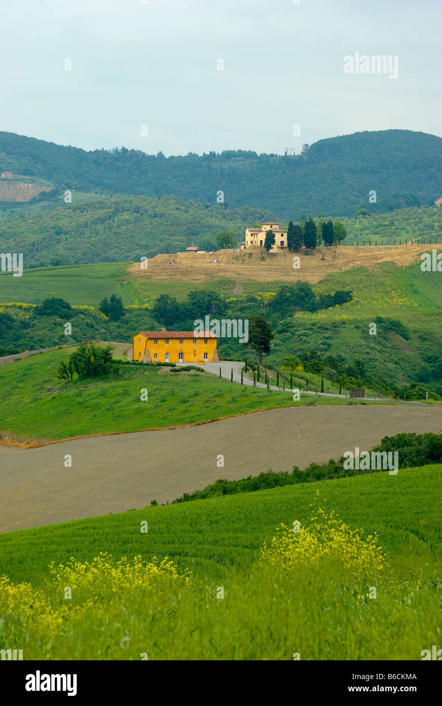 Landschaft in der Toskana, Italien, Europa Stockfoto