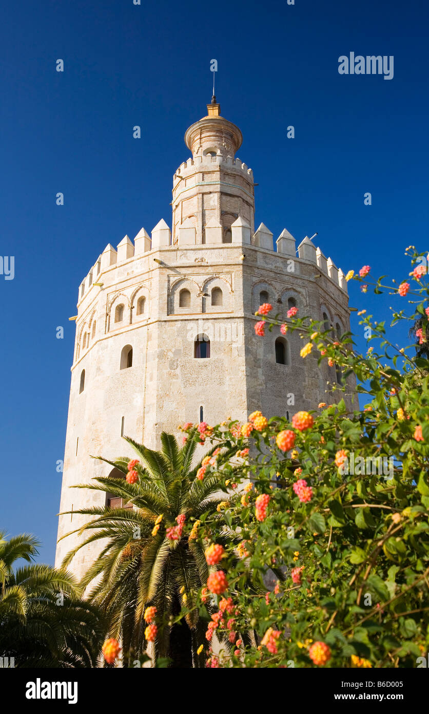 Torre Del Oro, Sevilla, Andalusien, Spanien, Europa Stockfoto