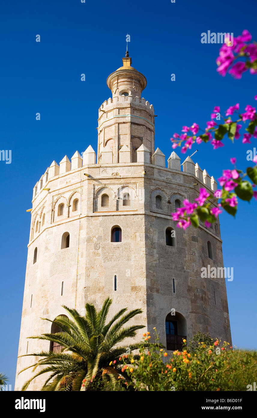 Torre Del Oro, Sevilla, Andalusien, Spanien, Europa Stockfoto