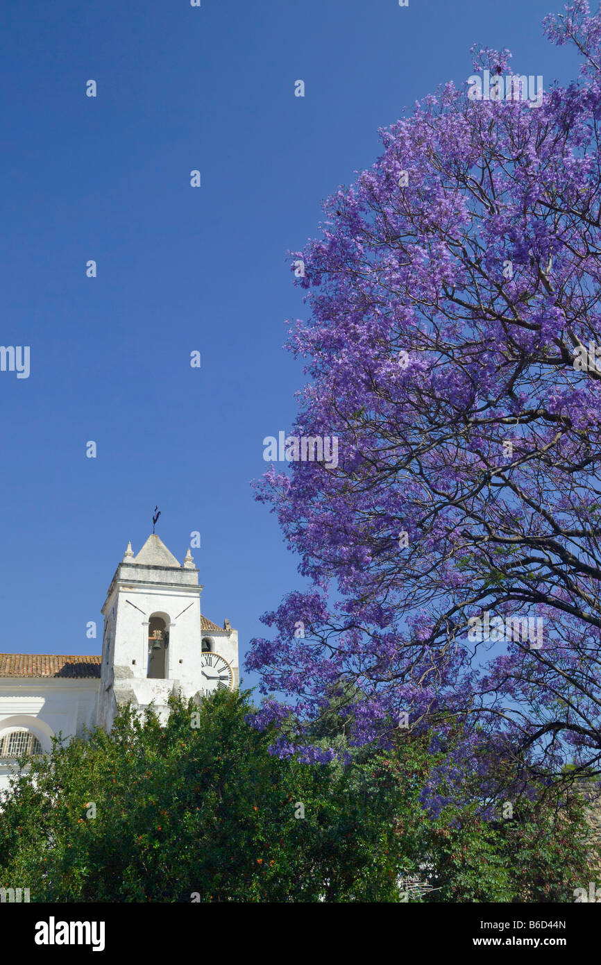 Die Kirche Igreja De Santa Maria Castelo & Jacaranda-Baum Blume, Tavira, Algarve, Portugal Stockfoto