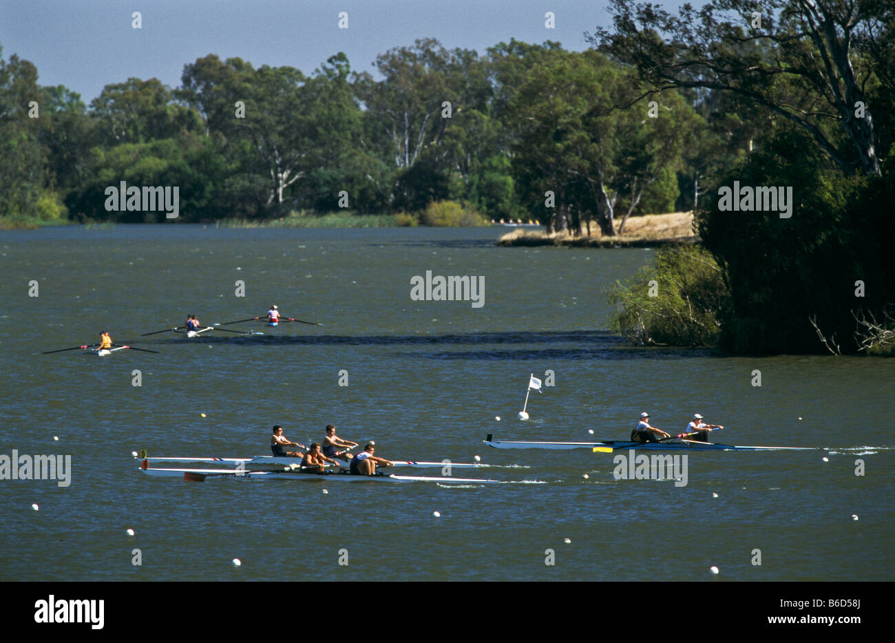 Rudern Wettbewerb, Australien Stockfoto