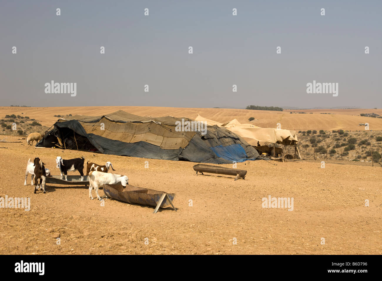 BEDUINEN ZELT FELDLAGER IN STEINWÜSTE LACHISH HILLS ISRAEL Stockfoto