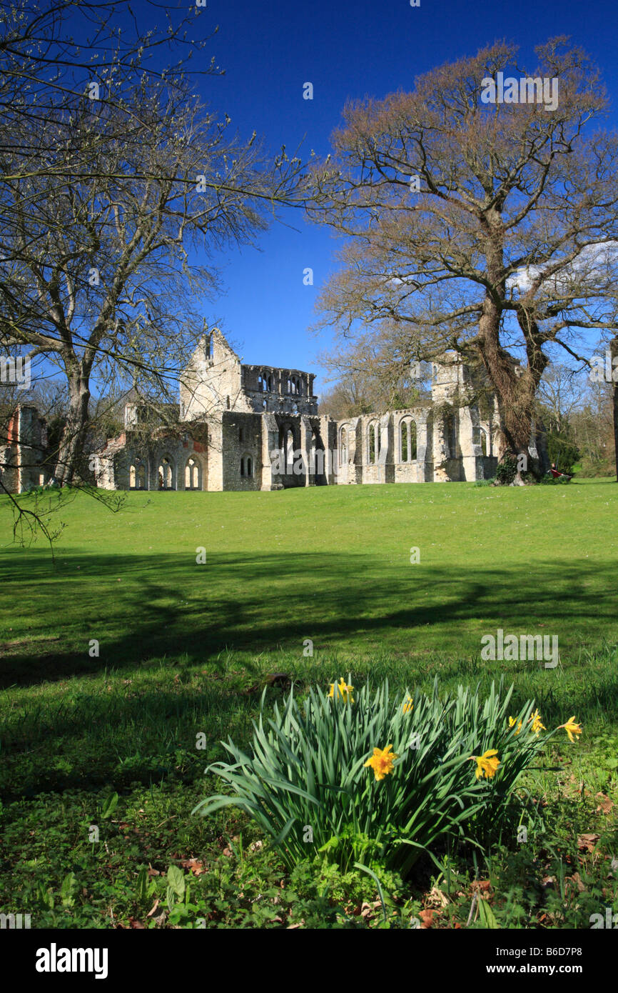 Netley Abbey Ruinen im Frühjahr Stockfoto